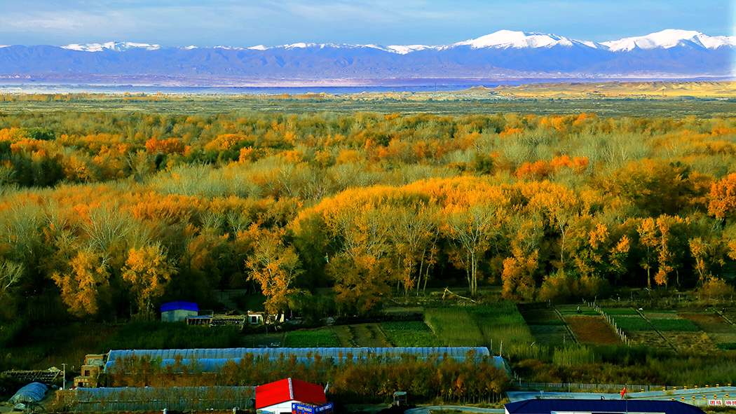 ������� (4).jpg