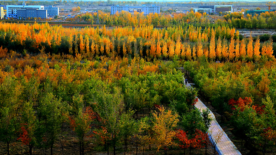 ������� (5).jpg