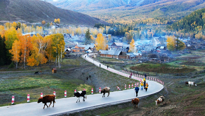 �׹���֮��