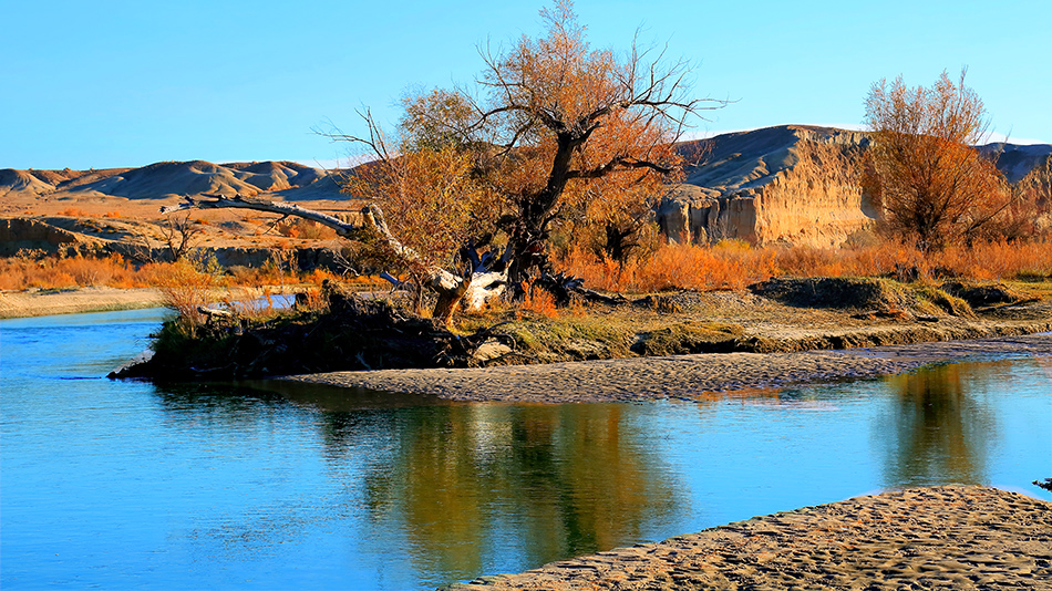 �ں�ĺ�� (1).jpg