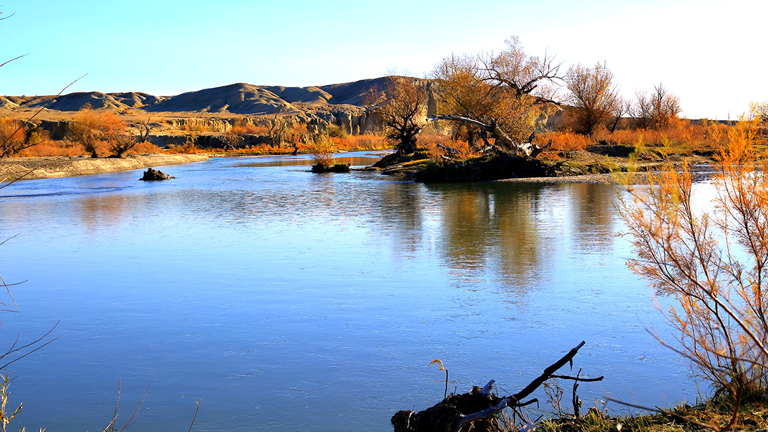 �ں�ĺ�� (2).JPG