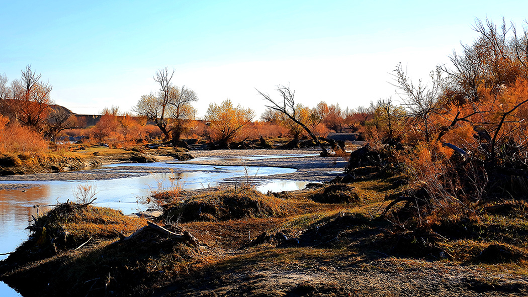 �ں�ĺ�� (3).jpg