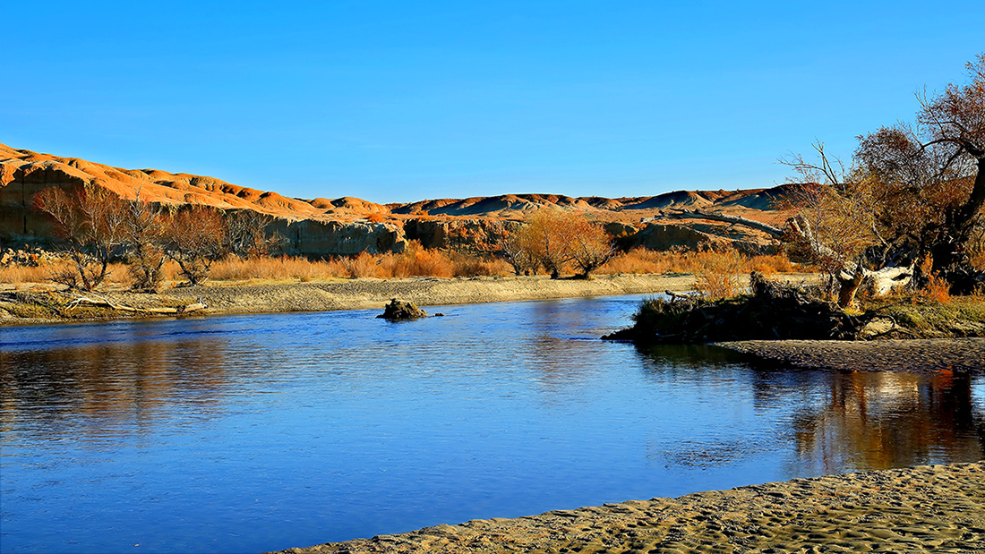 �ں�ĺ�� (5).jpg