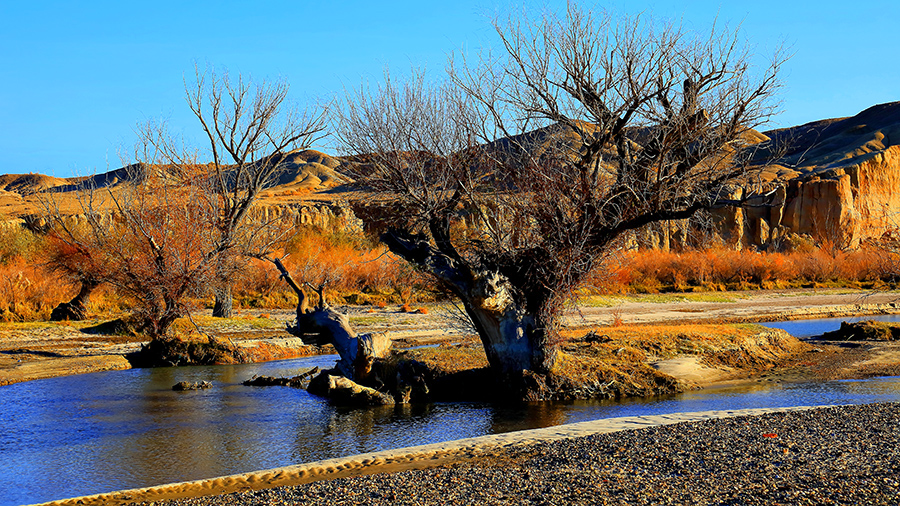 �ں�ĺ�� (6).jpg