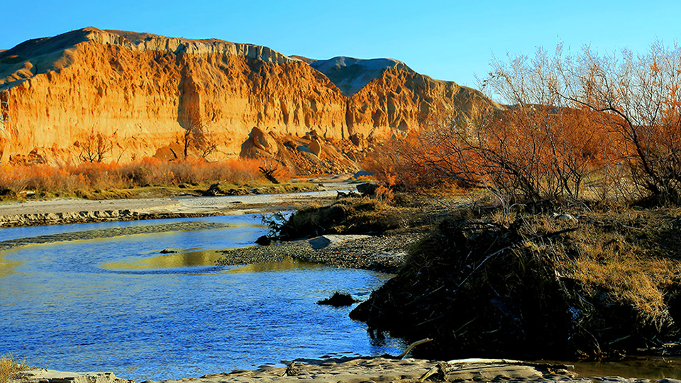 �ں�ĺ�� (7).jpg