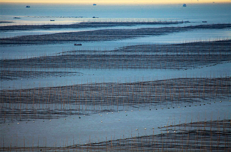 2015������ (1122)_����.jpg