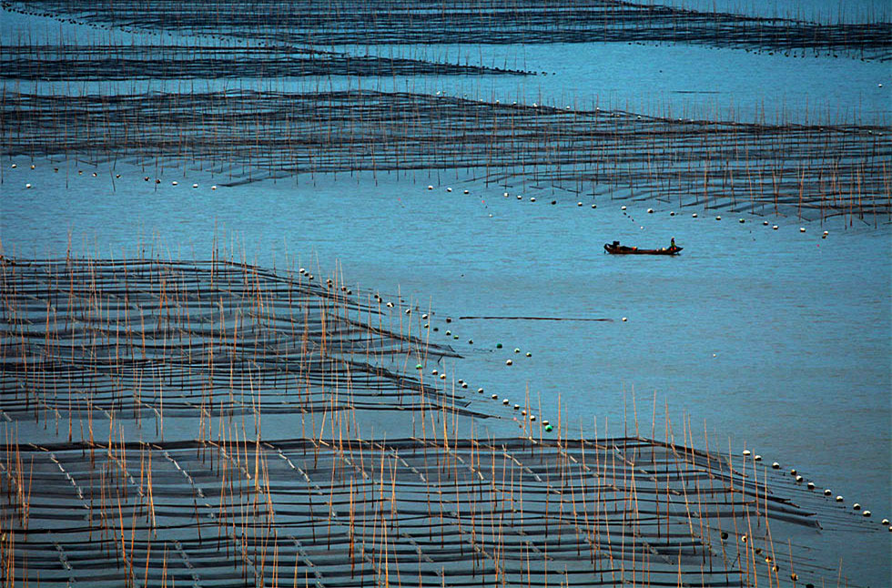 2015������ (1128)_����.jpg