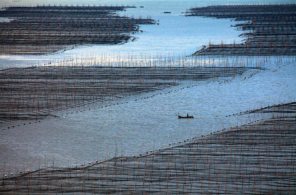 2015������ (1200)_����.jpg