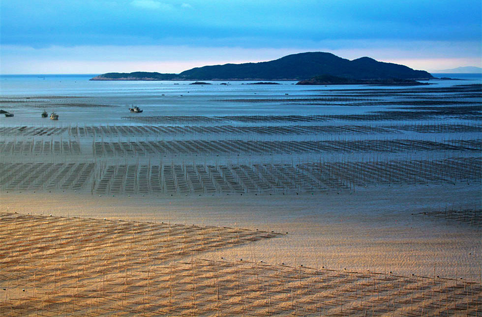 2015������ (1170)_����.jpg