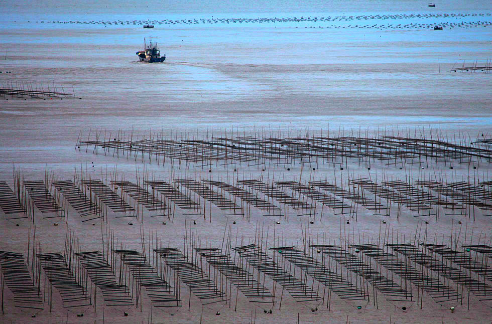 2015������ (1194)_����.jpg