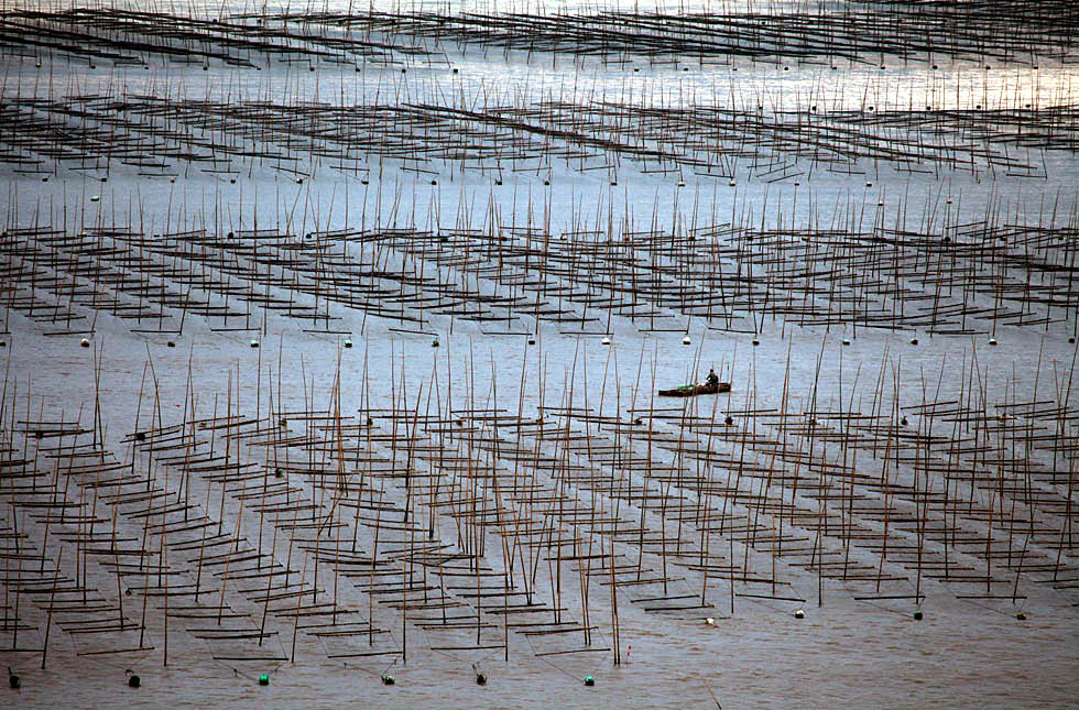 2015������ (1230)_����.jpg