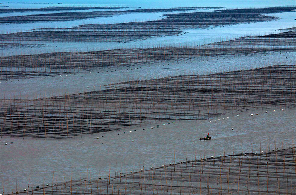 2015������ (1224)_����.jpg