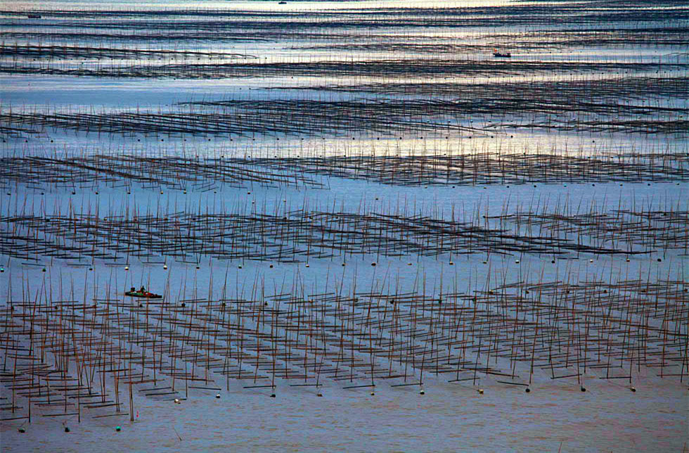 2015������ (1232)_����.jpg