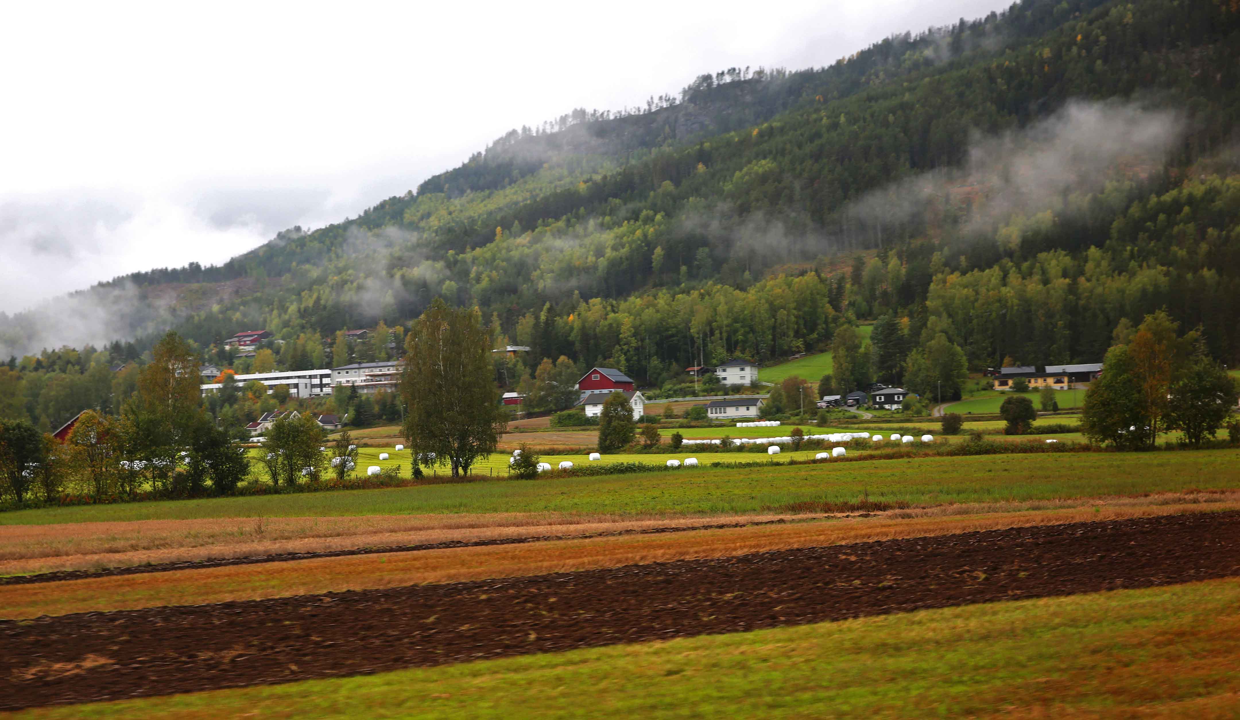 ���ϲ���װ���ʲ���