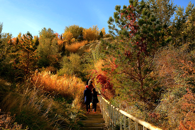 ���յ��� (2).jpg