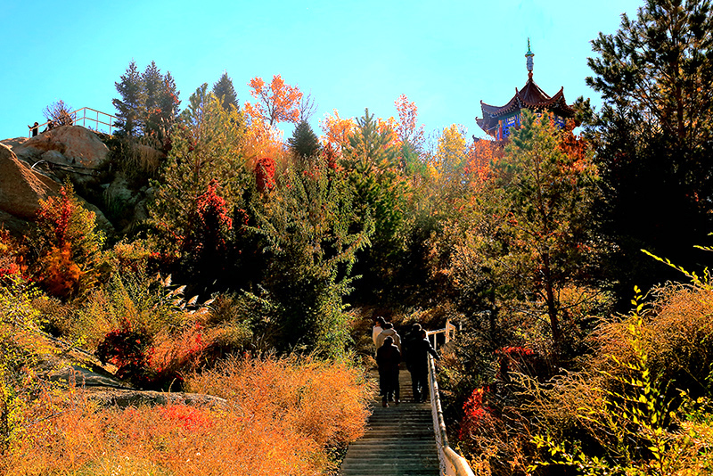 ���յ��� (3).JPG