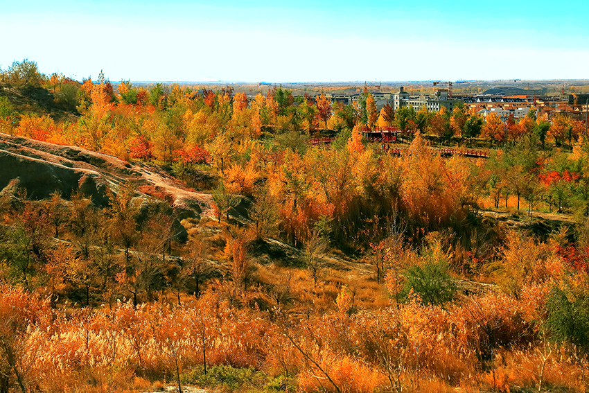 ���յ��� (4).jpg