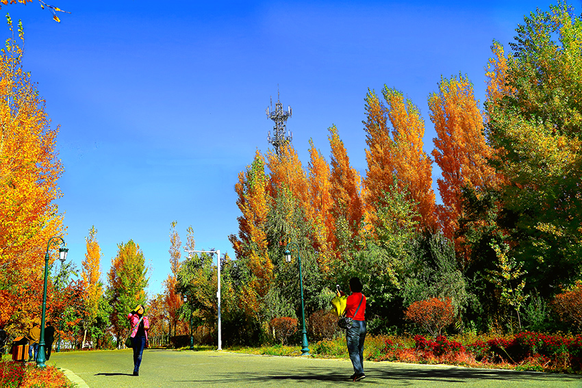 ���յ��� (5).jpg