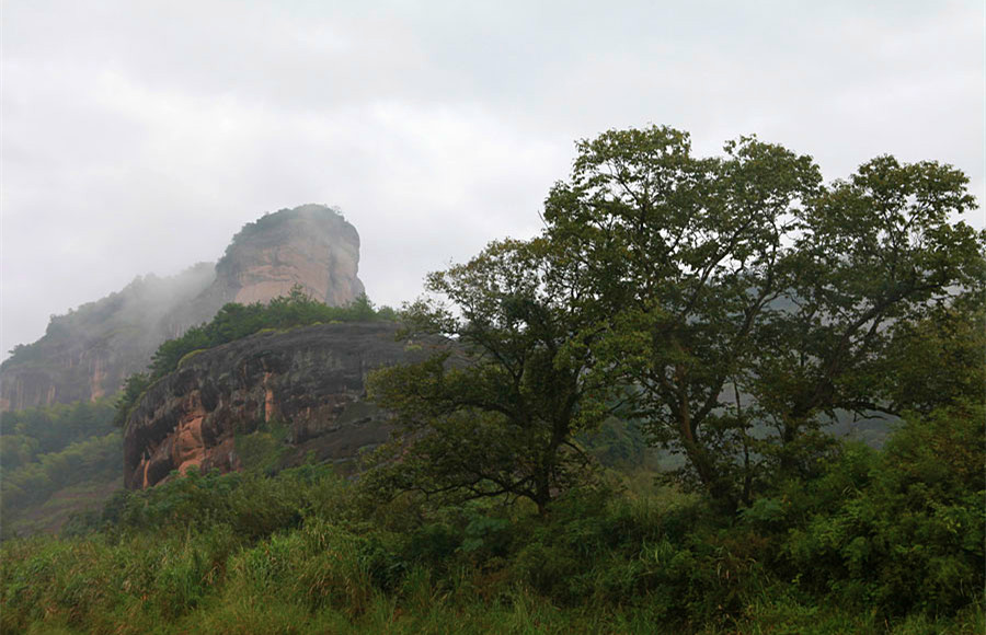 2015������ (126)_����.jpg