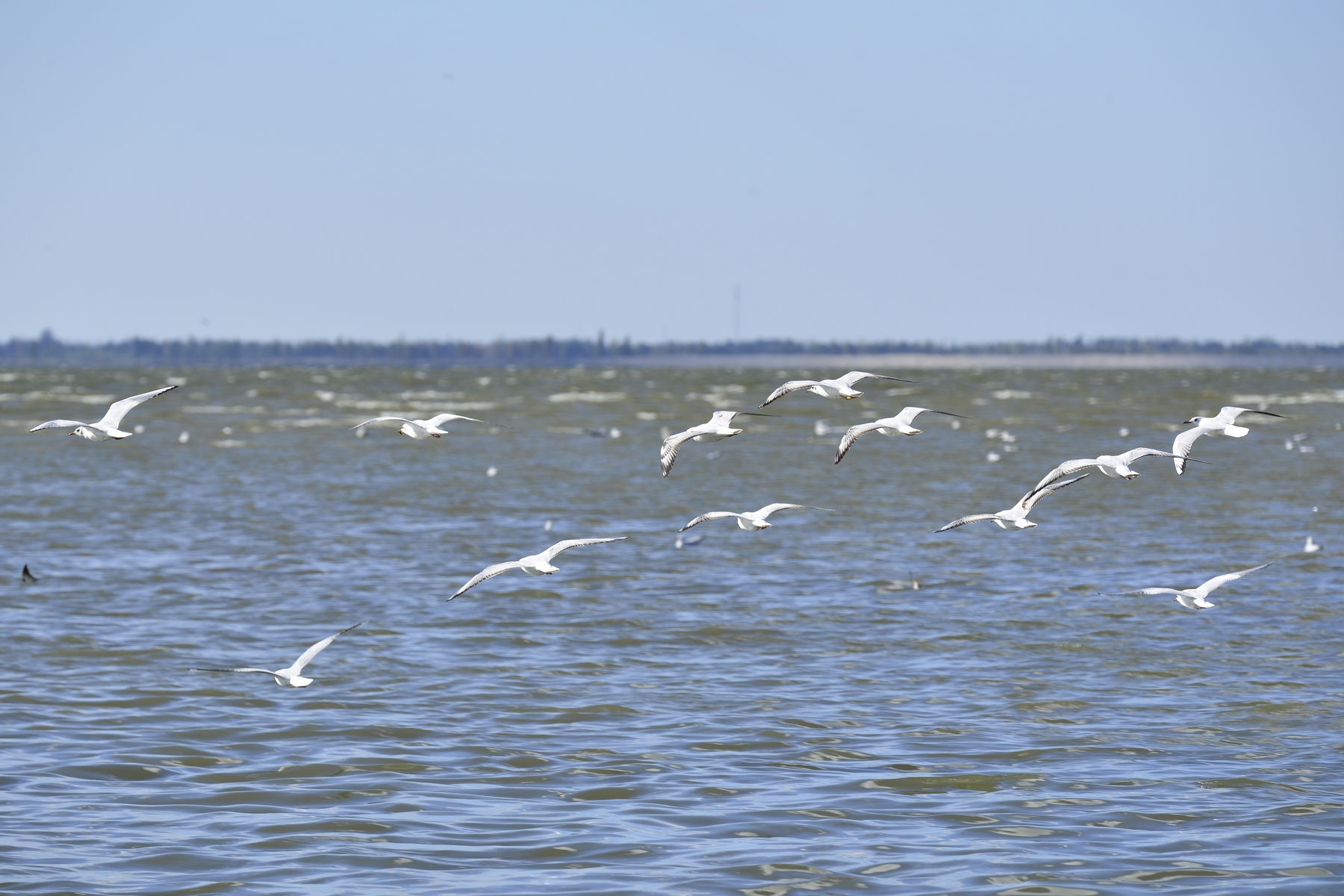 nEO_IMG__DSC4249 (2).jpg