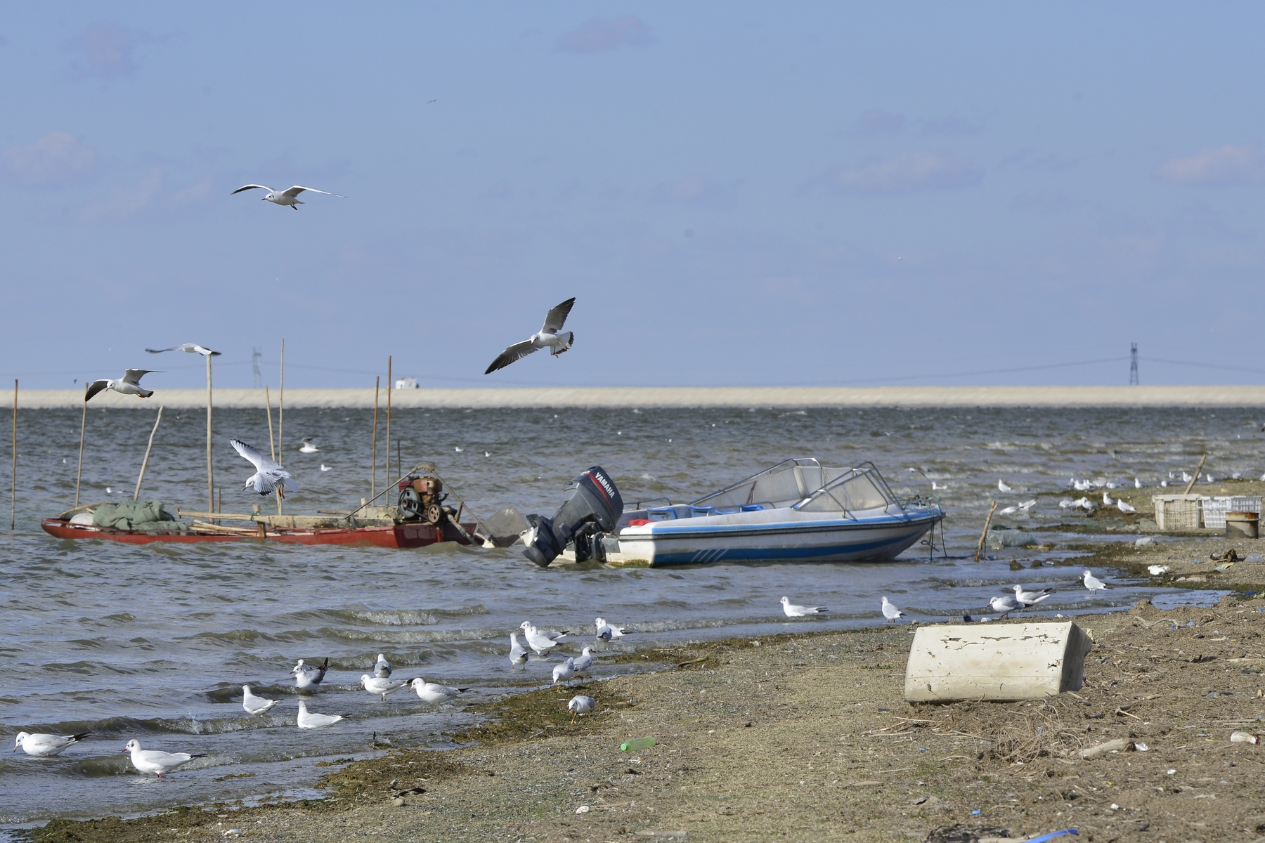 nEO_IMG__DSC4247 (2).jpg