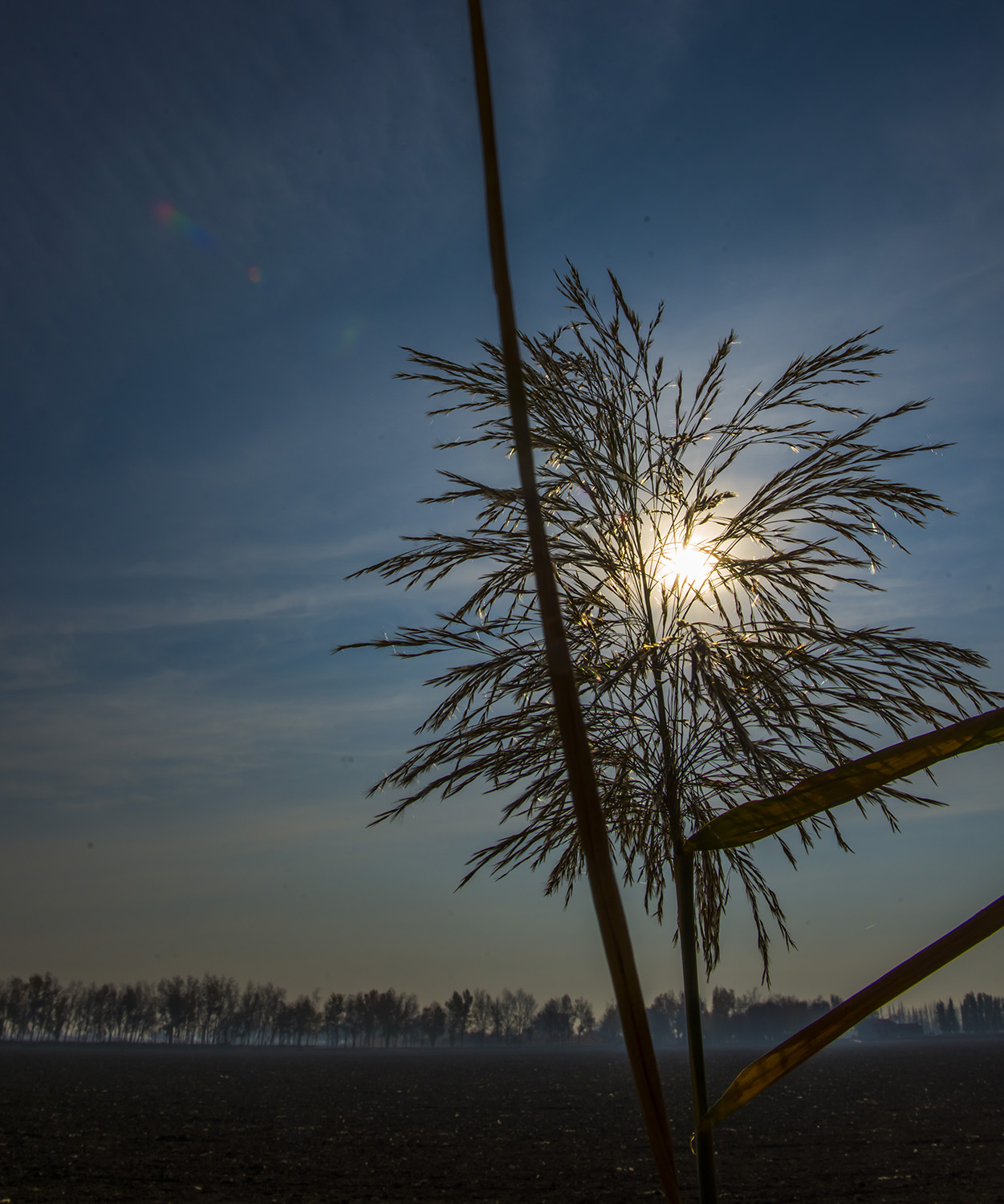 �����«����Ȼ����