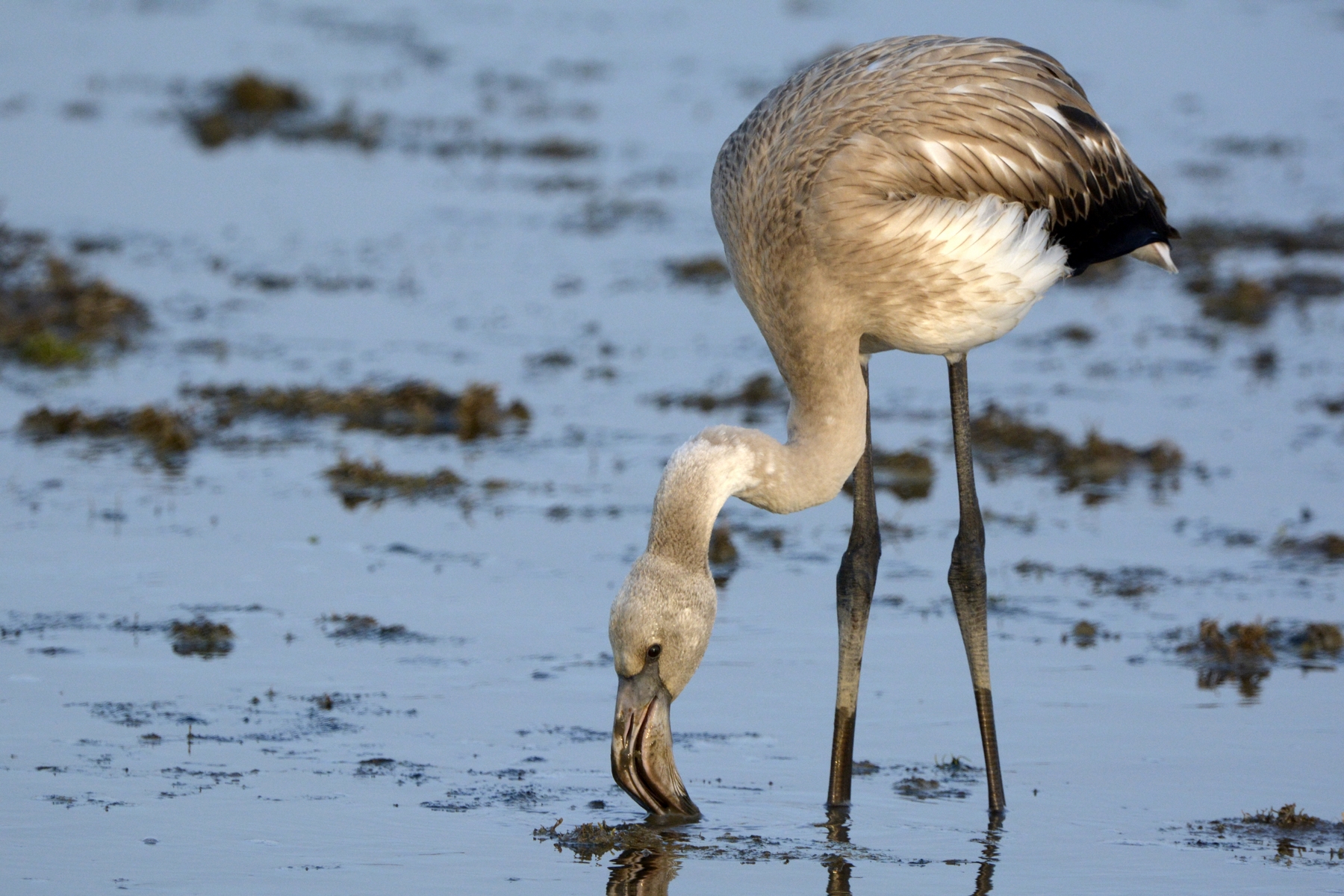 nEO_IMG__DSC8424 (2).jpg