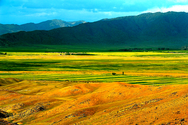 �ɿ��к���һ�� (2).jpg