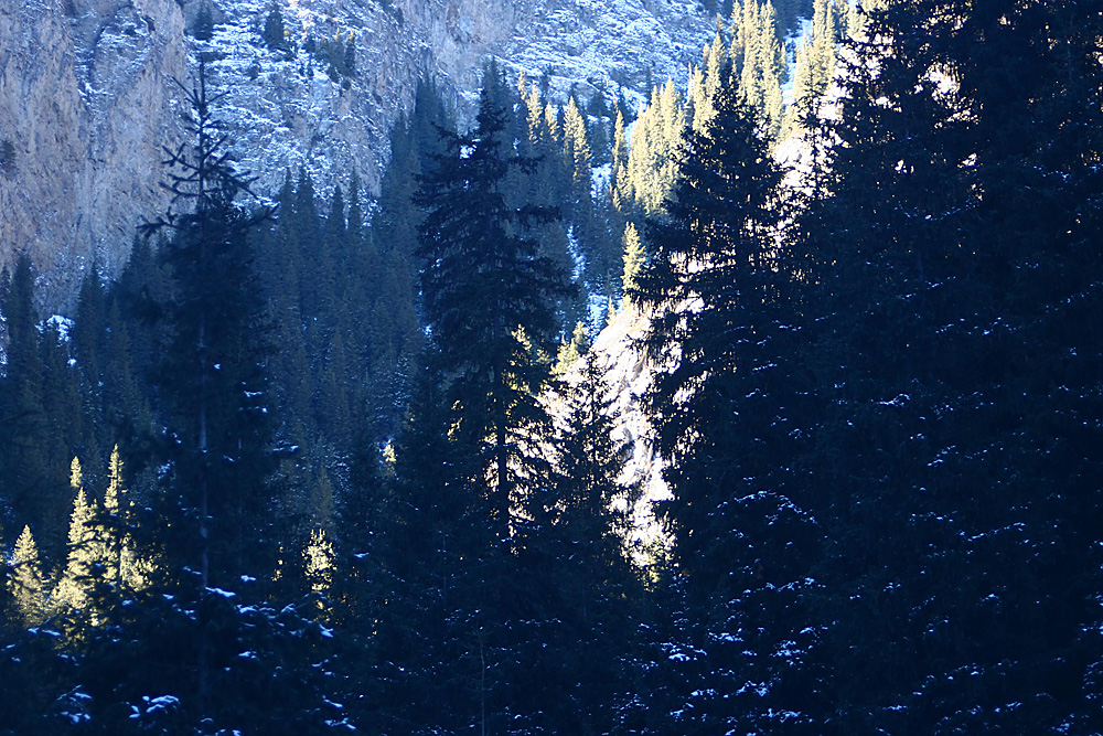 IMG_1516 ����.jpg