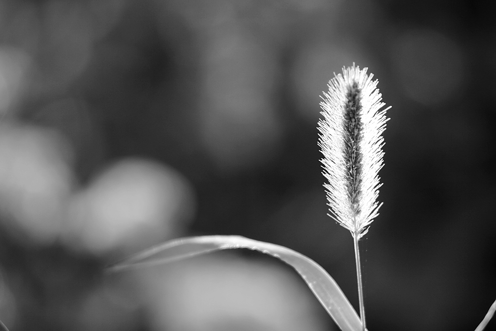 2014.7.7�� 003 (46)_��������.jpg