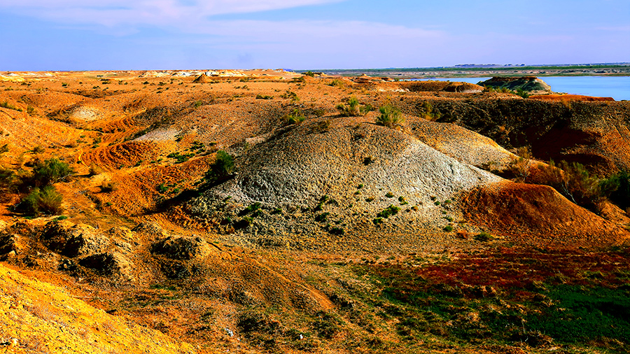 �ŵ���ò���ģ� (1).jpg