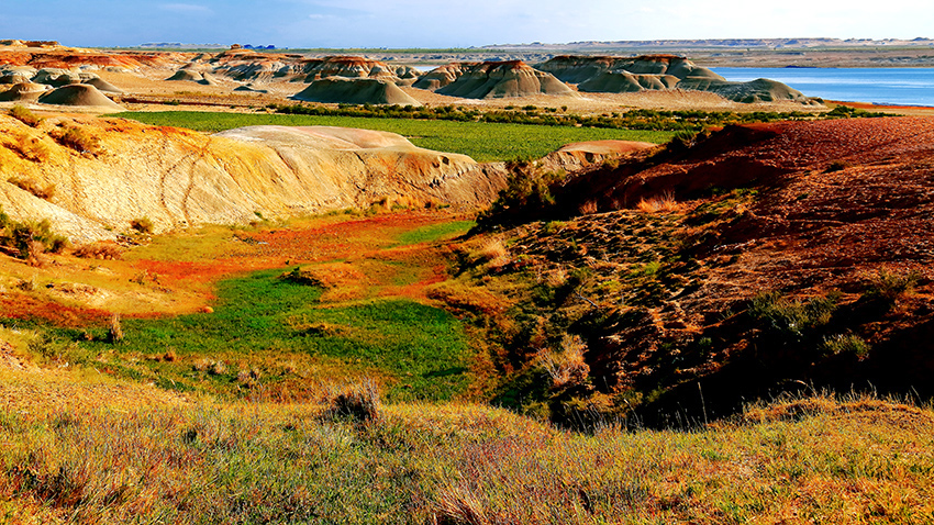 �ŵ���ò���ģ� (3).jpg