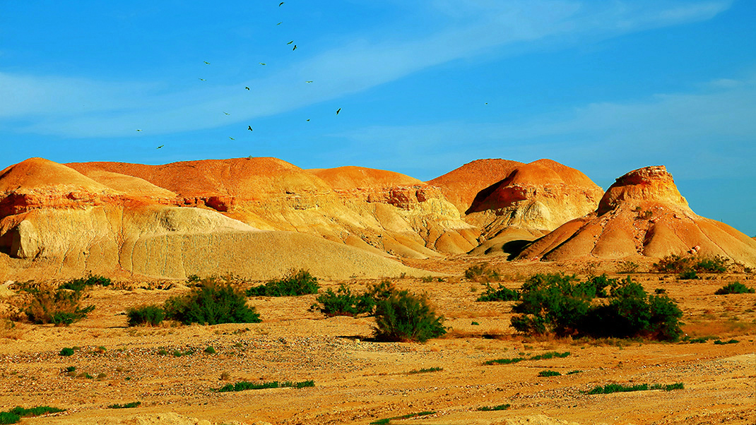 �ŵ���ò���ģ� (6).jpg