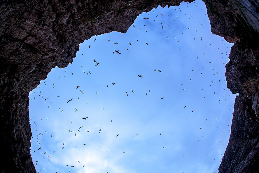 ����-F1 jpj.jpg