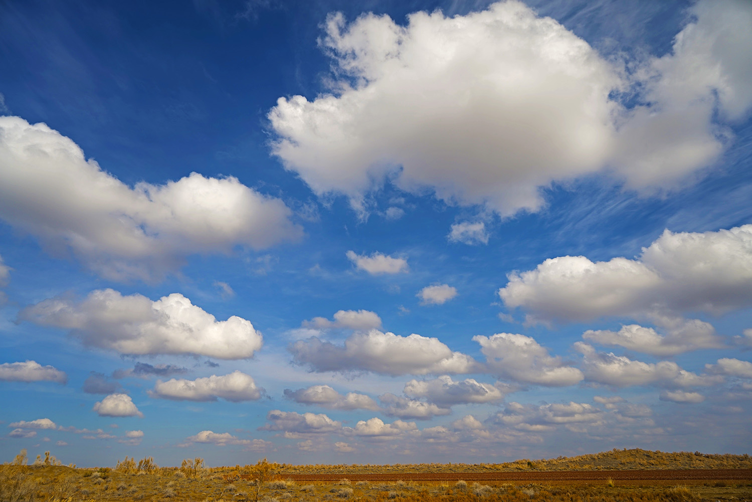 ����İ���