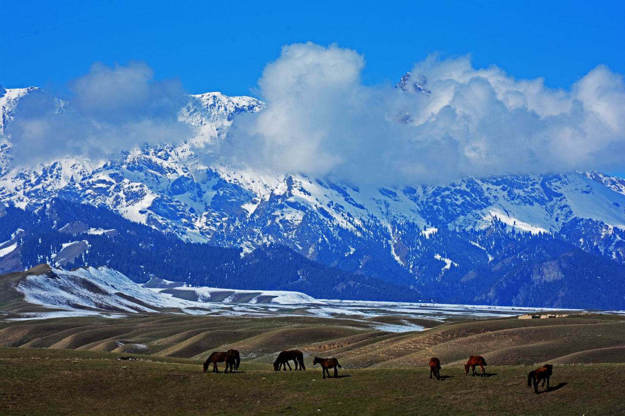 ������С DSC_0235_����.jpg