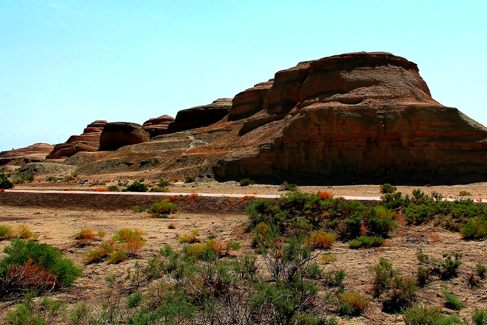 �����ۣ�һ ) (1).jpg