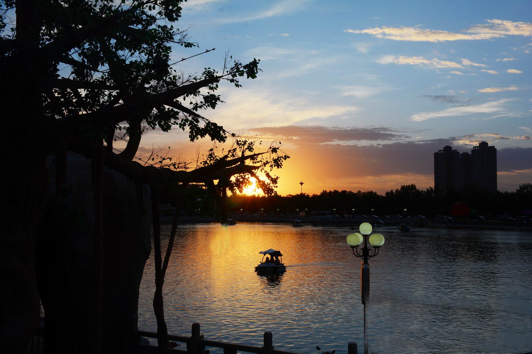 ������С DSC_7456.JPG