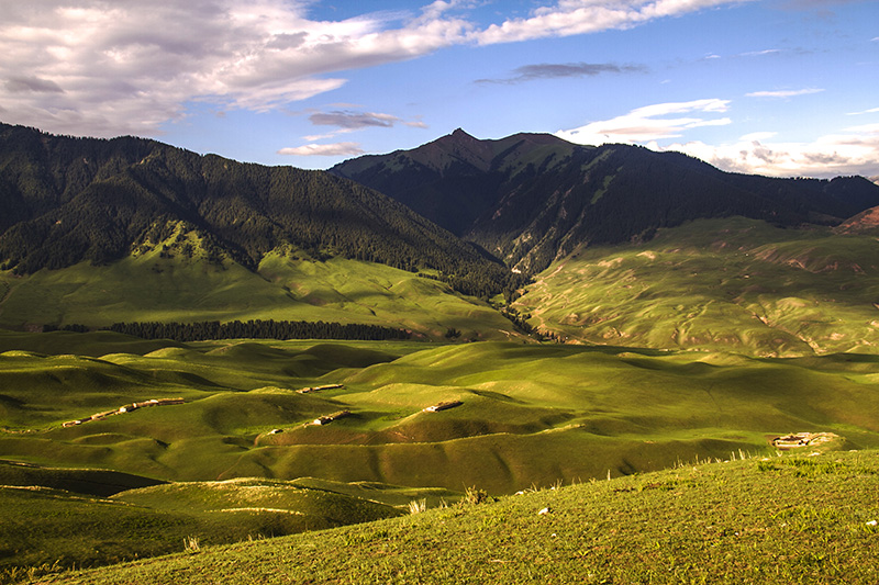 ����ץ��