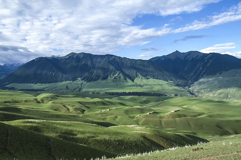 ����ץ��