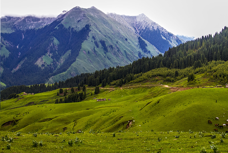 ��Ȼ��г�ľ���