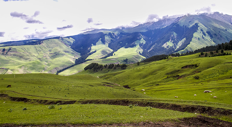 ��Ȼ�Ĵ�����