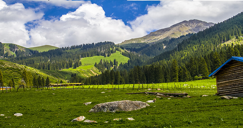 �񾲵������˼�