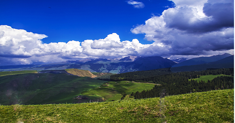 ԭ��̬�µ��������