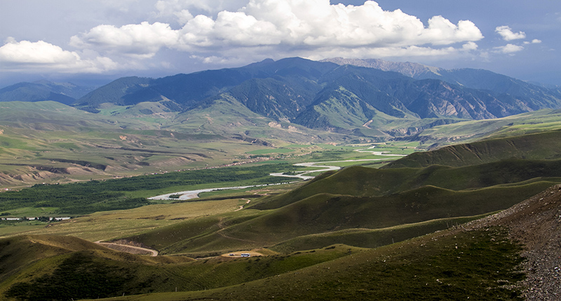 ����ʮ����