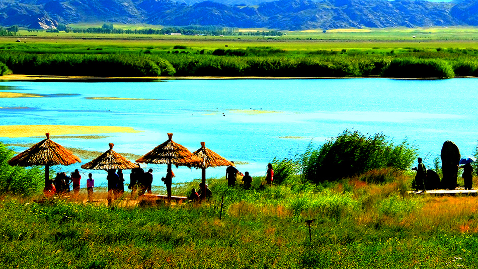 �ɿ��к����ģ��ɿ����� (2).jpg