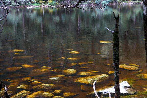 �Ĵ���������ɽ