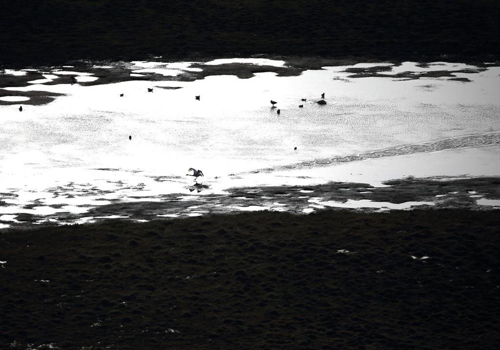 CW2Z1560 ��ɫ_����.jpg