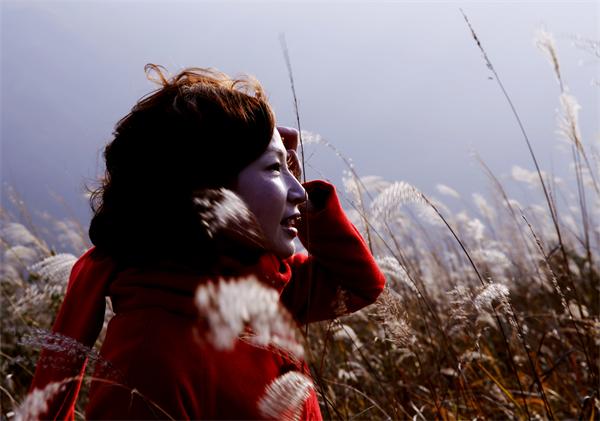 ɽ������