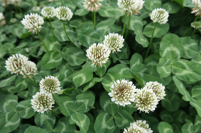 ��ޣ������Ц